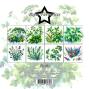 Preview: Paper Favourites - Designpapier "Herbs" Paper Pack 6x6 Inch - 24 Bogen