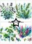 Preview: Paper Favourites - Designpapier "Herbs" Paper Pack A6 - 24 Bogen