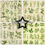 Preview: Paper Favourites - Designpapier "Kitchen Herbs" Paper Pack 12x12 Inch 8 Bogen