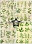 Preview: Paper Favourites - Designpapier "Kitchen Herbs" Paper Pack A5 - 24 Bogen