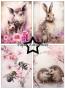 Preview: Paper Favourites - Designpapier "Wildlife" Paper Pack A6 - 24 Bogen