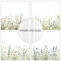 Preview: Simple and Basic - Designpapier "Floral Borders" Paper Pack 6x6 Inch - 24 Bogen 