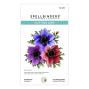 Preview: Spellbinders - Stanzschablone "Anemone" Dies