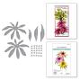 Preview: Spellbinders - Stanzschablone "Echinacea" Dies