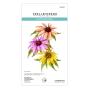 Preview: Spellbinders - Stanzschablone "Echinacea" Dies