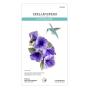 Preview: Spellbinders - Stanzschablone "Petunia and Hummingbird" Dies
