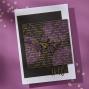 Preview: Spellbinders - Buchdrucktechnik "Script Tekst" BetterPress Plate