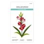 Preview: Spellbinders - Stanzschablone "Layered Gladiolus" Dies
