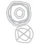 Preview: Sizzix - Stanzschablone "Twisters" Thinlits Craft Dies by Seth Apter