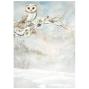 Preview: Stamperia - Decopatch Papier "Backgrounds" Decoupage A6 - 8 Bogen  