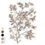 Preview: Re-Design with Prima - Transfer Aufkleber 24x35 Inch "Branch Harmony" Decor Transfer 4 Bogen 