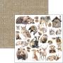 Preview: Ciao Bella - Designpapier "Forest Tales" Patterns Paper Pack 12x12 Inch - 8 Bogen