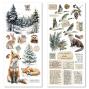 Preview: Ciao Bella - Aufkleber "Forest Tales" Transparent Adhesive Sheets 4,72x10,23 Inch - 5 Bogen