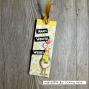 Preview: Vaessen Creative - Prägefolder "Sterne" Embossingfolder Design by Carla Creates