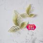 Preview: Craft & You Design - Stanzschablone "Openwork Leaves" Dies