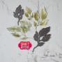 Preview: Craft & You Design - Stanzschablone "Vintage Leaves" Dies