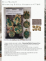Preview: Re-Design with Prima - Gießform "Shimmering Holiday Ornaments" Mould 5x8 Inch