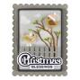 Preview: Spellbinders - Stanzschablone "Bow & Bell Scallop Frame" Dies