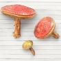 Preview: Stamperia - Gießform A5 "Mushrooms" Soft Mould 