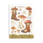 Preview: Stamperia - Washi Papier "Whispering Woods" Washi Pad 14,8x21cm - 8 Bogen