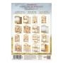 Preview: Stamperia - Papier, Aufkleber & Stanzteile "Whispering Woods" Junk Journal Backgrounds,Stickers,Cut-Outs