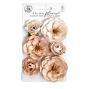 Preview: Prima Marketing - Papier Blumen "Pumpkin Dust" Flowers Bewitched