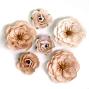 Preview: Prima Marketing - Papier Blumen "Pumpkin Dust" Flowers Bewitched