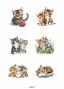 Preview: Reprint - Stanzteile "Animals" Cutouts A4 - 8 Bogen