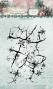 Preview: Studio Light - Stempel "Winter Crackle" Clear Stamps