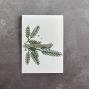 Preview: Simple and Basic - Stanzschablone "Pine Branches" Dies