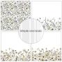 Preview: Simple and Basic - Designpapier "Winterflowers" Paper Pack 6x6 Inch - 24 Bogen 