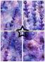 Preview: Paper Favourites - Designpapier "Alcohol Ink Lavender" Paper Pack A5 - 24 Bogen