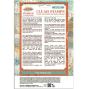 Preview: Stamperia - Stempelset "Patterns" Clear Stamps