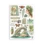 Preview: Stamperia - Washi Papier "Herbarium Silvae" Washi Pad 14,8x21cm - 8 Bogen