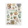 Preview: Stamperia - Washi Papier "Herbarium Silvae" Washi Pad 14,8x21cm - 8 Bogen