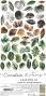 Preview: Craft OClock - Ausschneidebogen "Leaves" Extra Set Creative - 18 Bogen