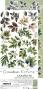 Preview: Craft OClock - Ausschneidebogen "Leaves 2" Extra Set Creative - 18 Bogen