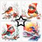 Preview: Paper Favourites - Designpapier "Christmas Birds" Paper Pack 6x6 Inch - 24 Bogen