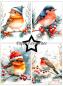 Preview: Paper Favourites - Designpapier "Christmas Birds" Paper Pack A6 - 24 Bogen
