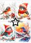 Preview: Paper Favourites - Designpapier "Christmas Birds" Paper Pack A6 - 24 Bogen