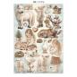 Preview: Stamperia - Papier, Aufkleber & Stanzteile "White Christmas by Cristina Radovan" Junk Journal Backgrounds,Stickers,Cut-Outs