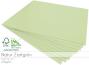 Cardstock "Natur" - Bastelpapier 270g/m² DIN A4 in natur zartgrün - 25 Bogen