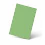 Preview: Karte - Einlegekarte DIN B6 240g/m² in pistazie
