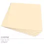 Cardstock "Premium" 12"x12"  240g/m² (30,5 x 30,5cm) in creme