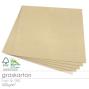 Cardstock "Recycling" 12"x12"  300g/m² (30,5 x 30,5cm) in Graskarton