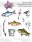 Preview: Kulricke Stempelset "Anglerauszeit" 10x10cm Clear Stamp 