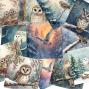 Preview: LaCreativ - Designpapier "Zauberhafte Wintereulen" Paper Pack 6x6" - 24 Bogen
