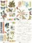 Preview: Arden Creative Studio - Transfer Aufkleber "Amber Ledgers" Katie Pertiet Rub-On Transfer Set
