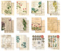 Preview: Arden Creative Studio - Designpapier "Vintage Makers Ledger Essentials" Katie Pertiet Paper Pack 6x8 Inch - 12 Bogen