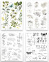 Preview: Arden Creative Studio - Transfer Aufkleber "Garden Chronicles Essentials" Katie Pertiet Rub-On Transfer Set